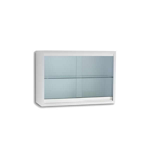 Wall-mounted display case in enamelled steel (70X25X40)