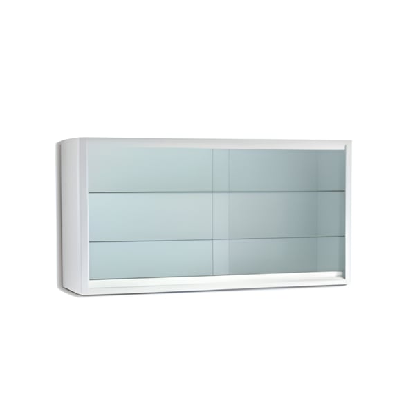 Enameled steel wall display case (120X30X60)