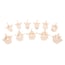 Set of 24 BONElike vertebrae