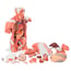 Detachable life-size muscle torso model (27 different parts)