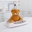 ADE electronic baby scale: Professional class, shock absorption system, maximum weight 20 kg and 5 gr graduation ADE electronic baby scale: Professional class, shock absorption system, maximum weight 20 kg and 5 gr graduation