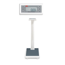 ADE Electronic Column Scale: Perfect choice in all medical fields (professional class) M320600-01