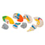 Detachable neuro-anatomical brain in eight pieces