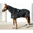 MagnetoVet 4000 Horse Pro: Magnetotherapy Therapy for Horses (blanket and neck cover with solenoids included)