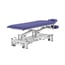 Pehr Coinfycare Electric Table: Two Sections, Motorized Height Adjustment, and Adjustable Backrest for Professional Aesthetics and Physiotherapy