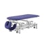 Pehr Coinfycare Electric Table: Two Sections, Motorized Height Adjustment, and Adjustable Backrest for Professional Aesthetics and Physiotherapy