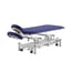 Pehr Coinfycare Electric Table: Two Sections, Motorized Height Adjustment, and Adjustable Backrest for Professional Aesthetics and Physiotherapy