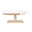 CONDRA SMART SPA treatment table for spa and wellness centers with heating: 3 motors