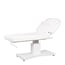 GOID Multifunction Electric Treatment Table: 1 Motor