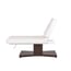 GOID Multifunction Electric Treatment Table: 1 Motor