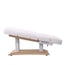 Troch+ Spa electric treatment table: 3 sections and 4 motors with heating, antigravity function and position memory (white)