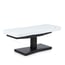TRAPP PLUS electric massage table with 2 motors and wooden base TRAPP PLUS electric massage table with 2 motors and wooden base
