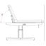 TRAPP PLUS electric massage table with 2 motors and wooden base TRAPP PLUS electric massage table with 2 motors and wooden base