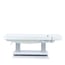 Weelko Tensor+ 4-Motor Electric Spa Bed with Heater Weelko Tensor+ 4-Motor Electric Spa Bed with Heater