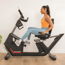 Schwinn 280R Recumbent Bike with Magnetic Resistance and Bluetooth