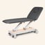 Nuuna 2L Pro Electric Treatment Table: 2 sections with 1 motor, 360° perimeter control, adjustable backrest and Naggura Skin upholstery (various colors) Nuuna 2L Pro Electric Treatment Table: 2 sections with 1 motor, 360° perimeter control, adjustable backrest and Naggura Skin upholstery (various colors)