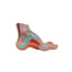 Flat exhibition foot Flat exhibition foot
