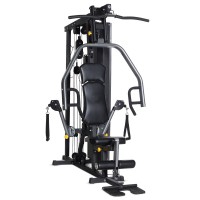Horizon Fitness TORUS 3 multi-training station: allows you to perform more than 40 types of exercises