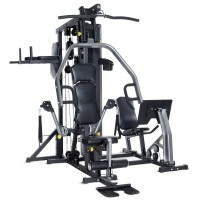 Horizon Fitness TORUS 5 multi-station training: allows you to perform more than 60 types of exercises