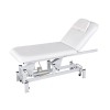 Lumb beauty and massage table: Electric, with two bodies and motor for height adjustment