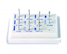 Dental strawberries Dental strawberries