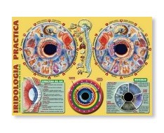 Prints of other specialties Prints of other specialties
