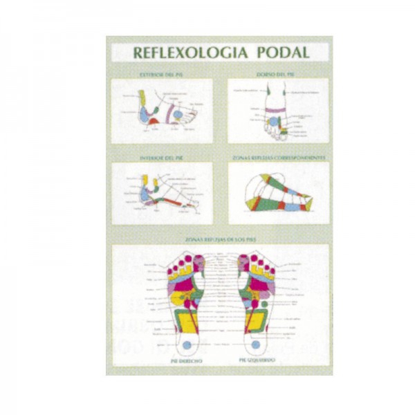 Foot Reflexology Poster