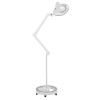 Mega Cold Light LED Magnifying Lamp with 5x Magnification (Rolling Base)