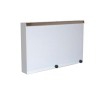 Mural x-ray viewer 2 Screens with Regulator in Painted Steel Color White