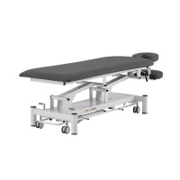 Pehr Coinfycare Electric Table: Two Sections, Motorized Height Adjustment, and Adjustable Backrest for Professional Aesthetics and Physiotherapy Pehr Coinfycare Electric Table: Two Sections, Motorized Height Adjustment, and Adjustable Backrest for Professional Aesthetics and Physiotherapy