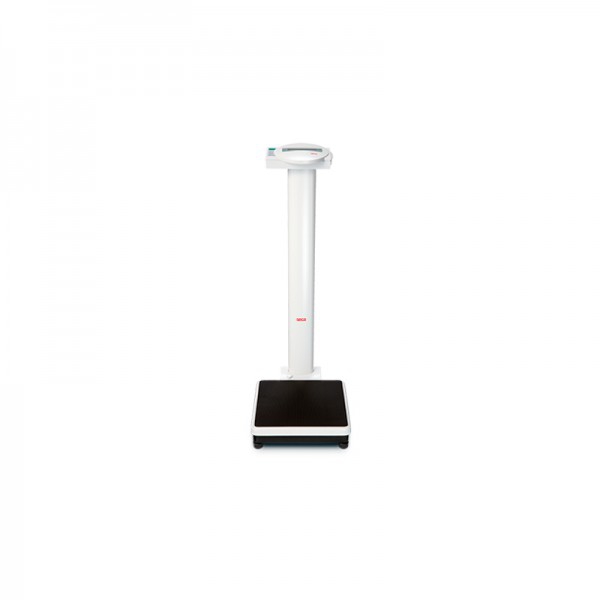 Seca 769 electronic column scale: with BMI calculation