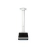 Electronic Dry Column Scale 799 with ICM Function + Height Rod: Professional Class (III)