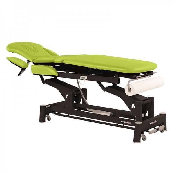 Multifunctional Ecopostural electric stretcher: three bodies with black connecting rod structure, folding arms and T01 head (62 x 200 cm)