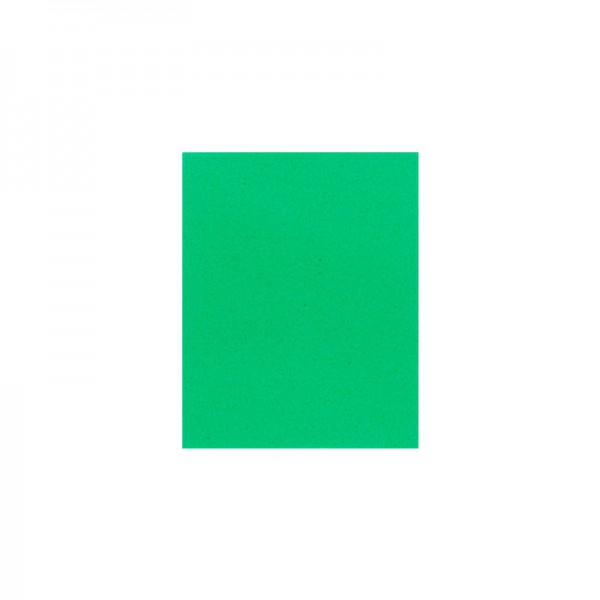 Red Density Carpitoner 50x37.5cm Red Density Carpitoner 50x37.5cm