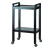 Resin Cart Basic: Equipped with 2 shelves and side handles Resin Cart Basic: Equipped with 2 shelves and side handles
