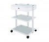 White Metallic Multifunction Trolley for Physiotherapy, Chiropody and Aesthetics: Equipped with 2 translucent glass shelves and key drawer White Metallic Multifunction Trolley for Physiotherapy, Chiropody and Aesthetics: Equipped with 2 translucent glass shelves and key drawer