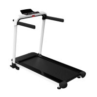 Motorized Treadmill TM 800: Intermediate Home Workout Motorized Treadmill TM 800: Intermediate Home Workout