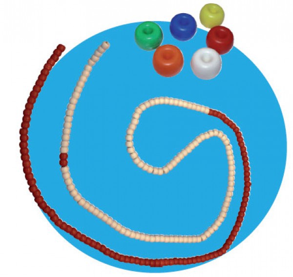 Aquatic lane rope Roma (Donut) with rope and carabiner (25 meters) Aquatic lane rope Roma (Donut) with rope and carabiner (25 meters)