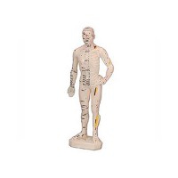 Male Human Body (Rubber 26 cm)