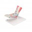Foot skeleton model with ligaments and muscles Foot skeleton model with ligaments and muscles