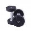 Dumbbells Urethane Premium Finish with Stainless Steel Grip