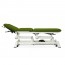 Multifunctional electric treatment table for osteopathy: nine bodies, with negative reclining backrest, armrests, central fold and Trendelenburg with retractable wheels