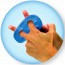 Hand Xtrainers Thera-Band: Multi-Functional Exerciser for Fingers, Hands, Wrists and Forearms Hand Xtrainers Thera-Band: Multi-Functional Exerciser for Fingers, Hands, Wrists and Forearms