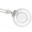 Broad Fluorescent Light Magnifying Lamp with 3x Magnification (Roll Base)