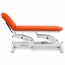 Electric examination stretcher: two bodies with negative reclining backrest, toilet paper holder, facial cap and retractable wheels Electric examination stretcher: two bodies with negative reclining backrest, toilet paper holder, facial cap and retractable wheels