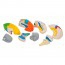 Detachable neuro-anatomical brain in eight pieces Detachable neuro-anatomical brain in eight pieces