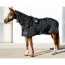MagnetoVet 4000 Horse Pro: Magnetotherapy Therapy for Horses (blanket and neck cover with solenoids included) MagnetoVet 4000 Horse Pro: Magnetotherapy Therapy for Horses (blanket and neck cover with solenoids included)
