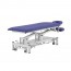 Pehr Coinfycare Electric Table: Two Sections, Motorized Height Adjustment, and Adjustable Backrest for Professional Aesthetics and Physiotherapy Pehr Coinfycare Electric Table: Two Sections, Motorized Height Adjustment, and Adjustable Backrest for Professional Aesthetics and Physiotherapy