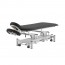 Pehr Coinfycare Electric Table: Two Sections, Motorized Height Adjustment, and Adjustable Backrest for Professional Aesthetics and Physiotherapy Pehr Coinfycare Electric Table: Two Sections, Motorized Height Adjustment, and Adjustable Backrest for Professional Aesthetics and Physiotherapy