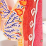 Female breast anatomical model L56. Realistic breast anatomy for teaching and training. Female breast anatomical model L56. Realistic breast anatomy for teaching and training.